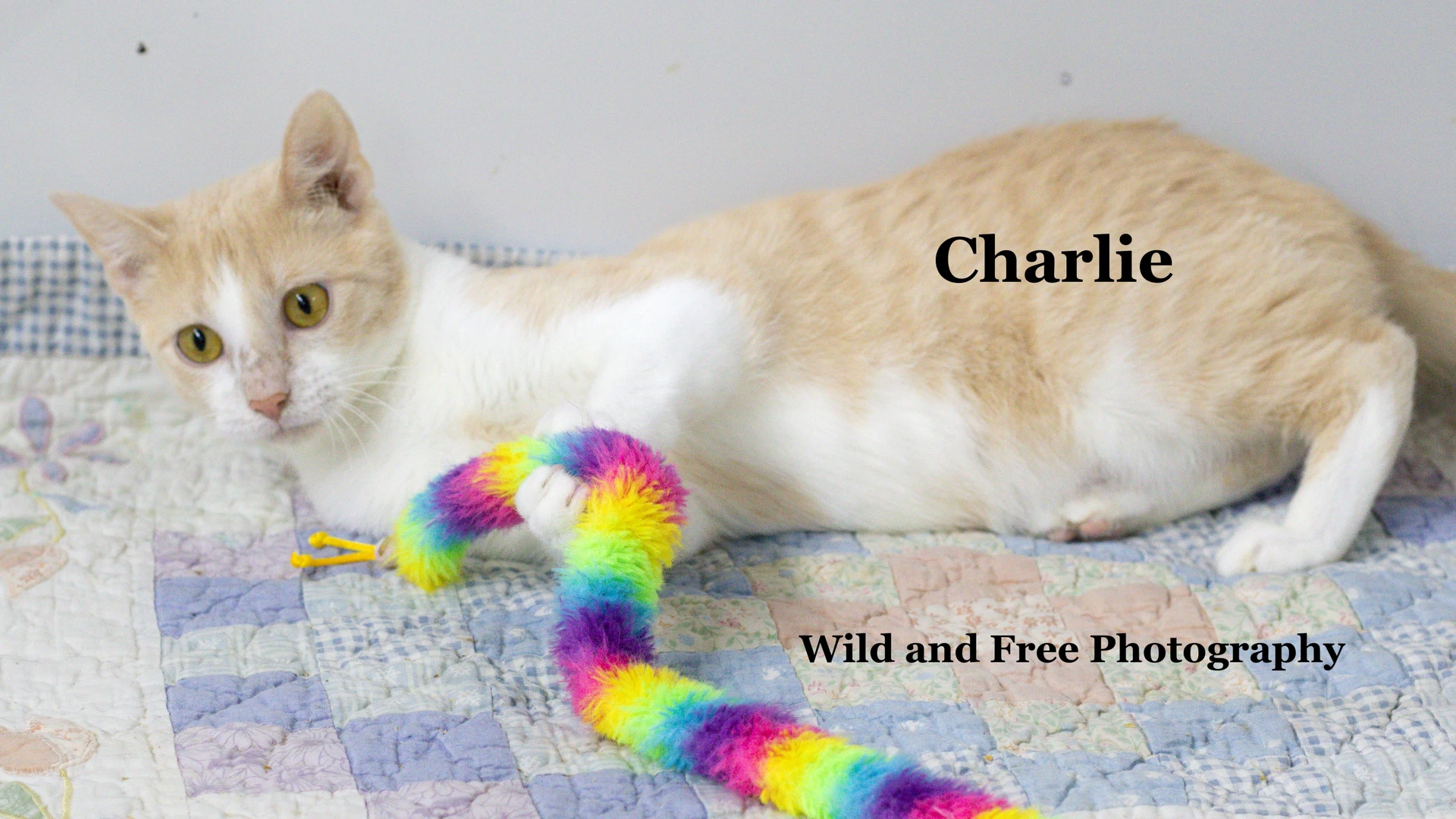 Charlie