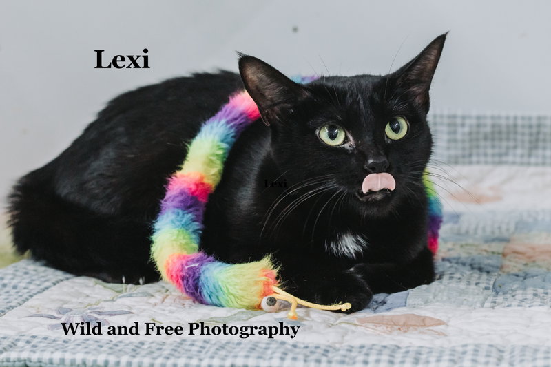 Lexi, photo 3