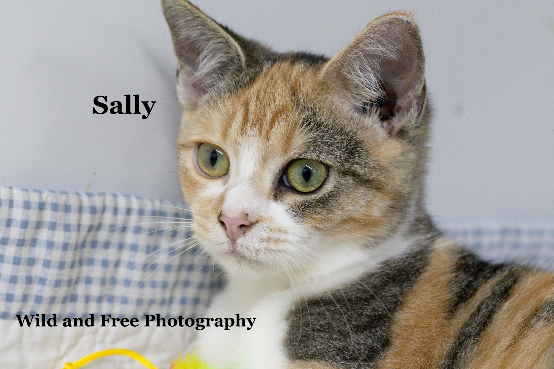 Sally
