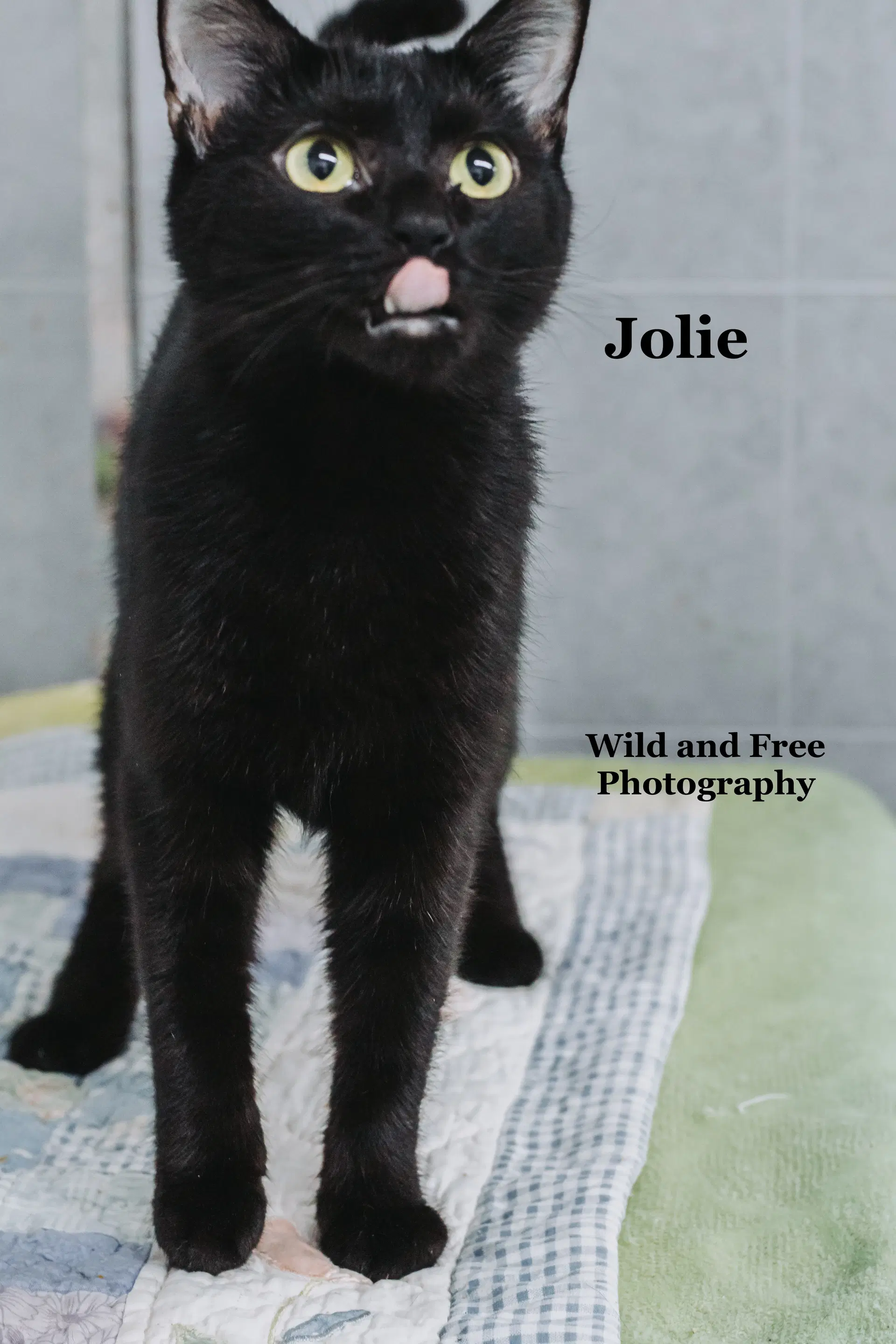 Jolie image 4