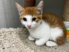 WALL-E - Photo 17