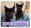 Rudy - Photo 1