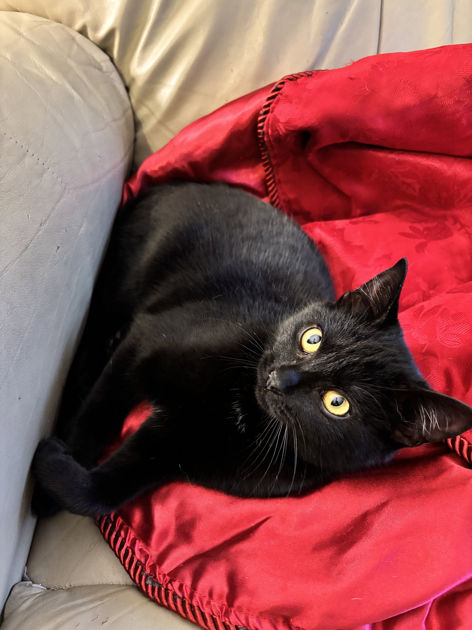 Binx