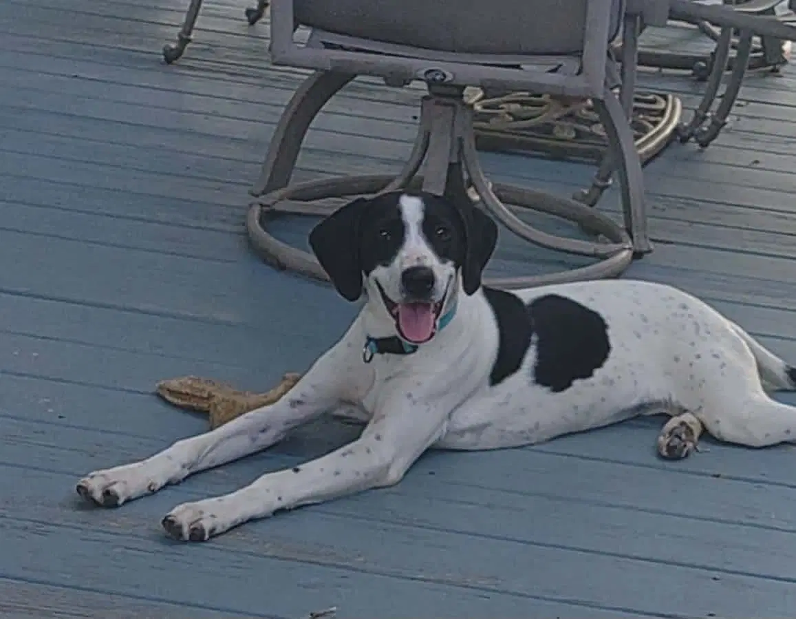 Blaney image 3