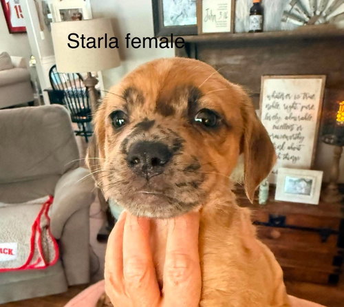 Starla photo 2