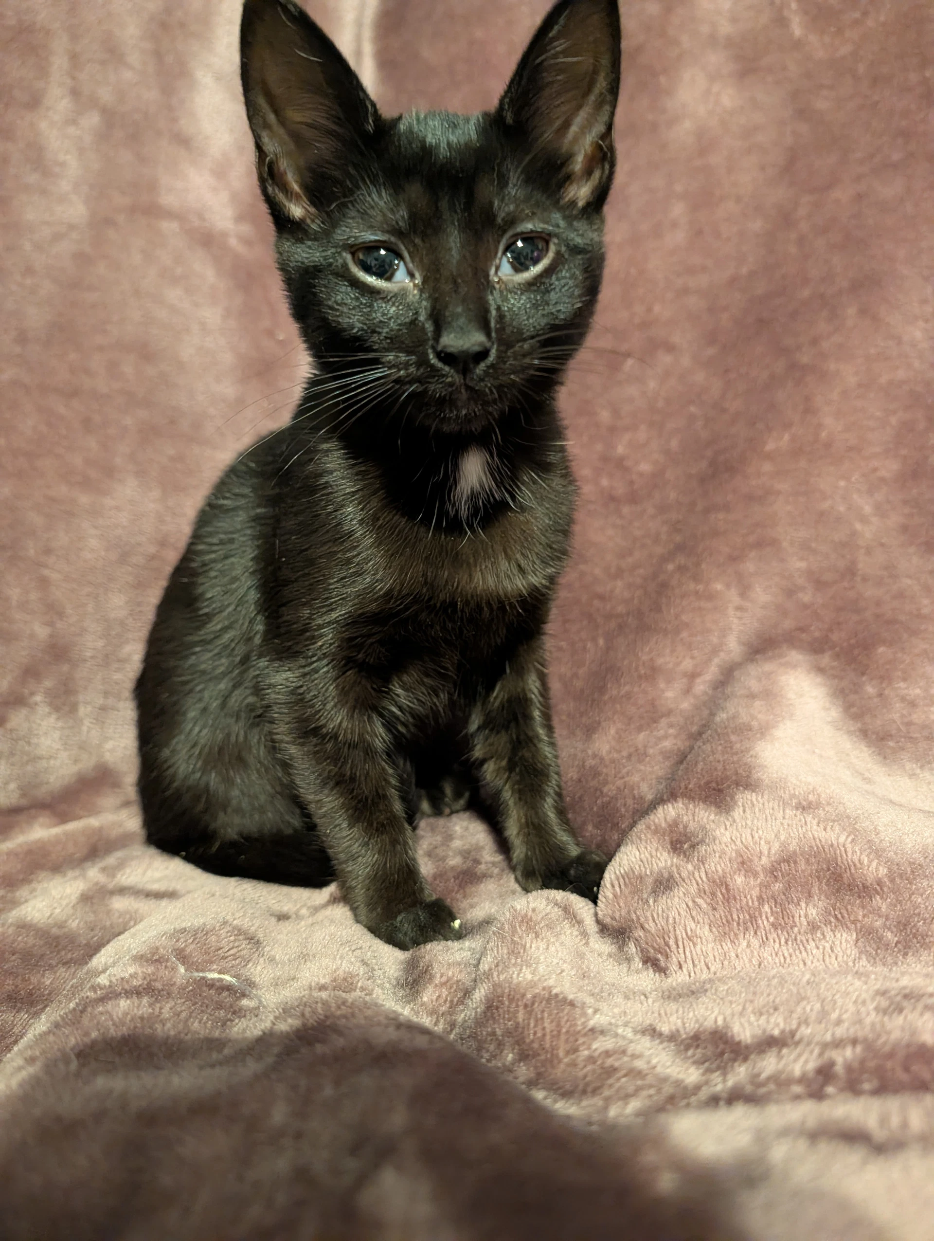 Salem