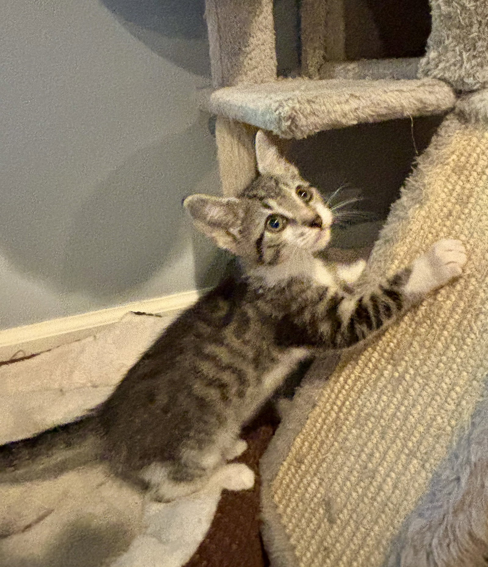 Bingo, photo 2