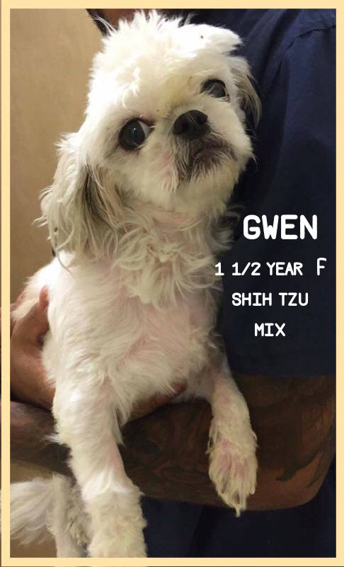 Gwendelyn