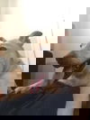 Sammie