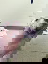 Libby