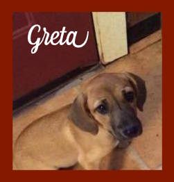 Greta