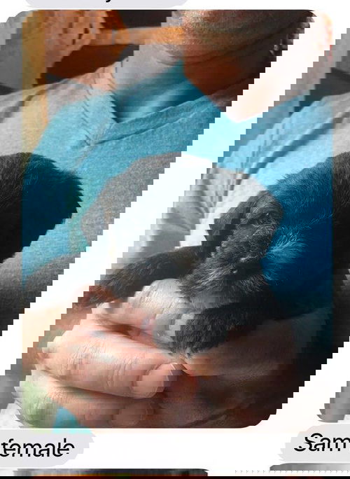 Sam
