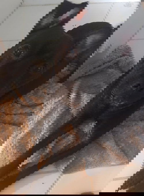 Charmeine