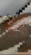 Amatrice