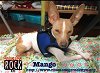 Mango (MD)