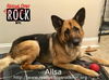 Ailsa (A)