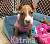 Katrina (MD)
