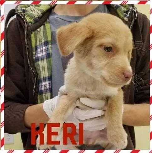 Keri