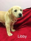 Libby (MD)