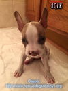 Casper