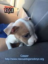 Casper