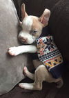 Casper