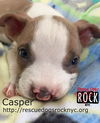 Casper