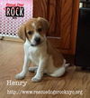 Henry