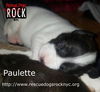 Paulette