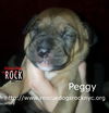 Peggy