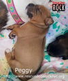 Peggy