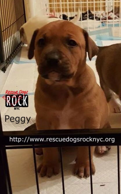 Peggy