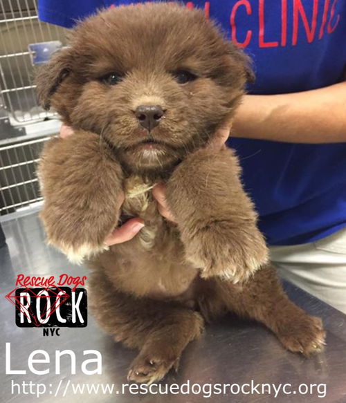 Lena