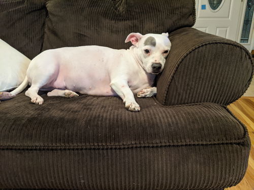 Penny (MD)