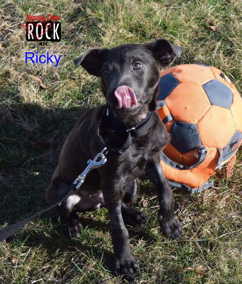 Ricky