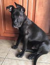 Zeus (MD)