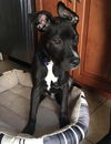 Zeus (MD)