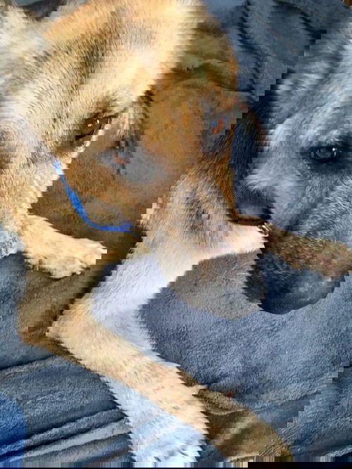 George