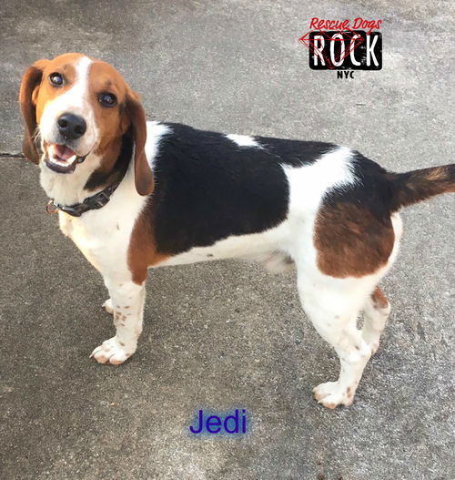 Jedi