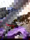 Remi