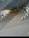Wezley