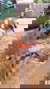Kaleyli (MD)