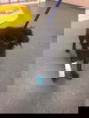 Ray