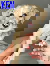 Ken