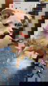 Geo