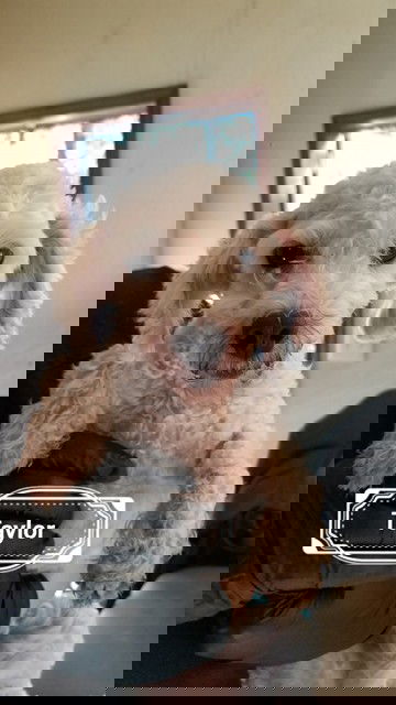 Taylor