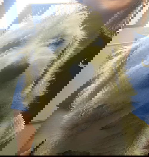 Casper