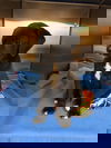 Peter