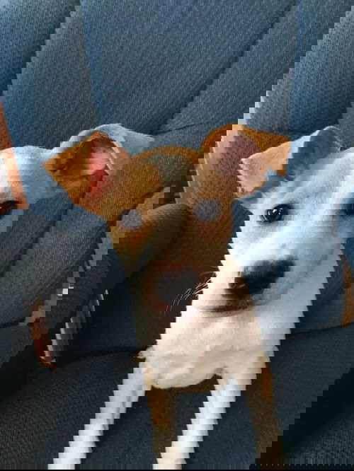 Patches
