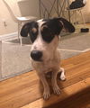 Lola